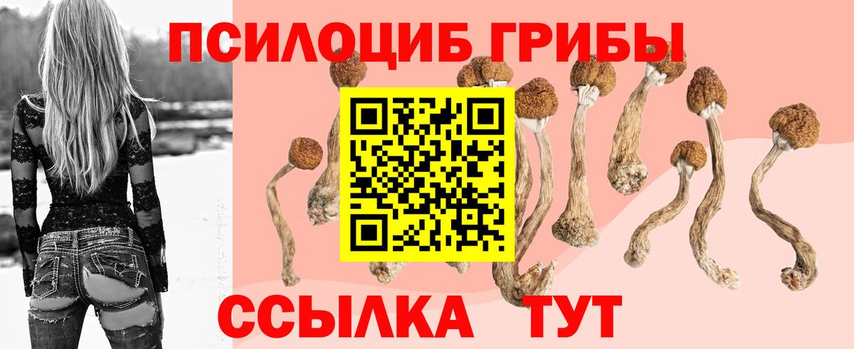 Усть-Илимск  Галлюциногенные грибы мухоморы  Вход с VPN 