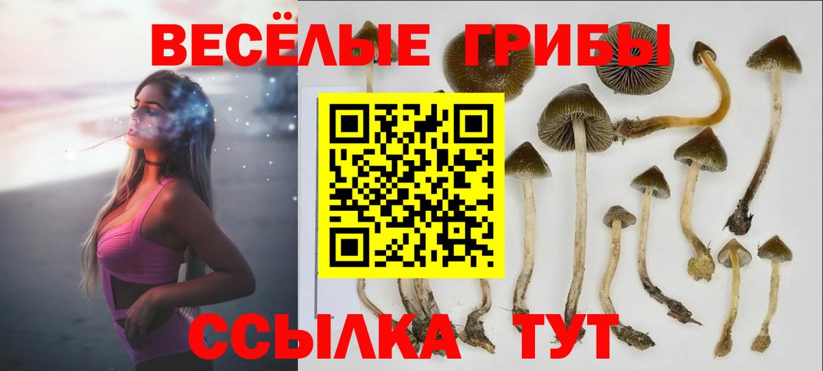 Псилоцибиновые грибы мицелий Усть-Илимск